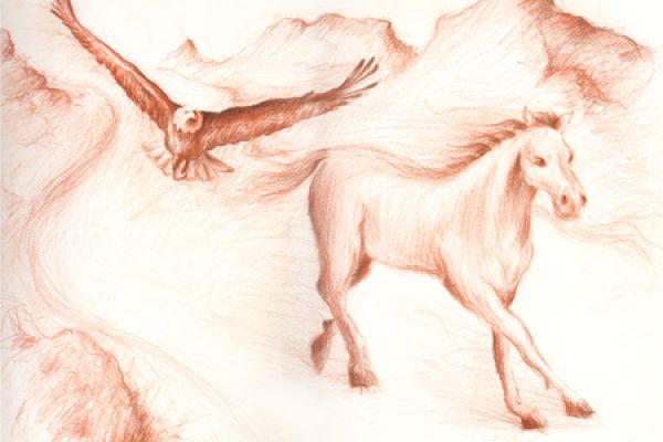 Eagles & Horses