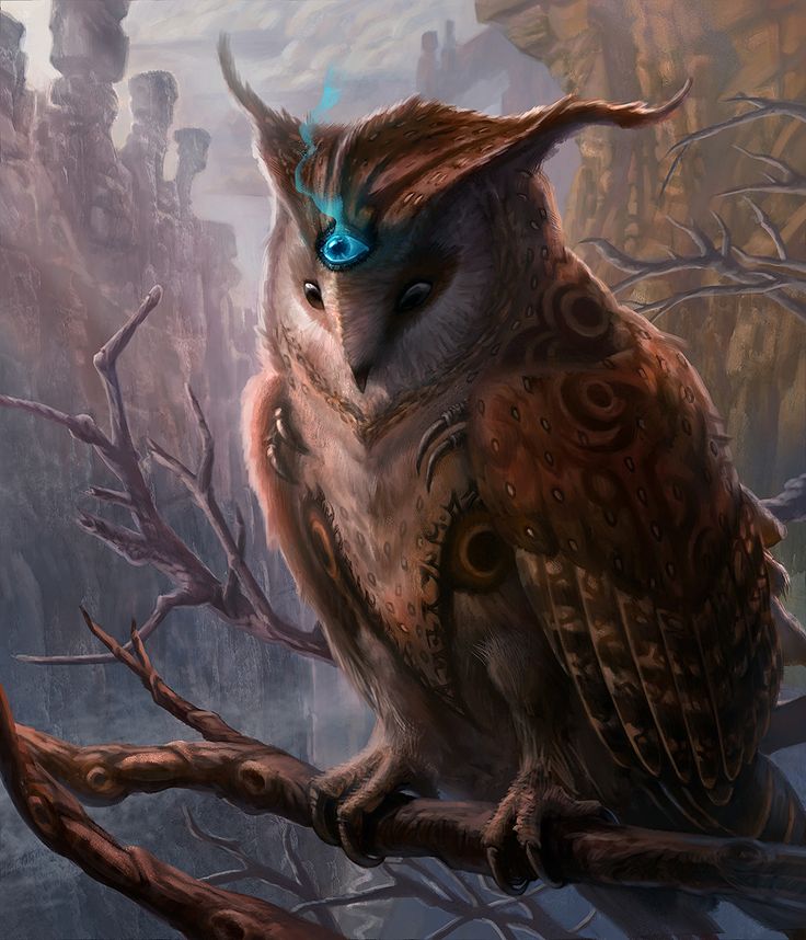 Psychicowl